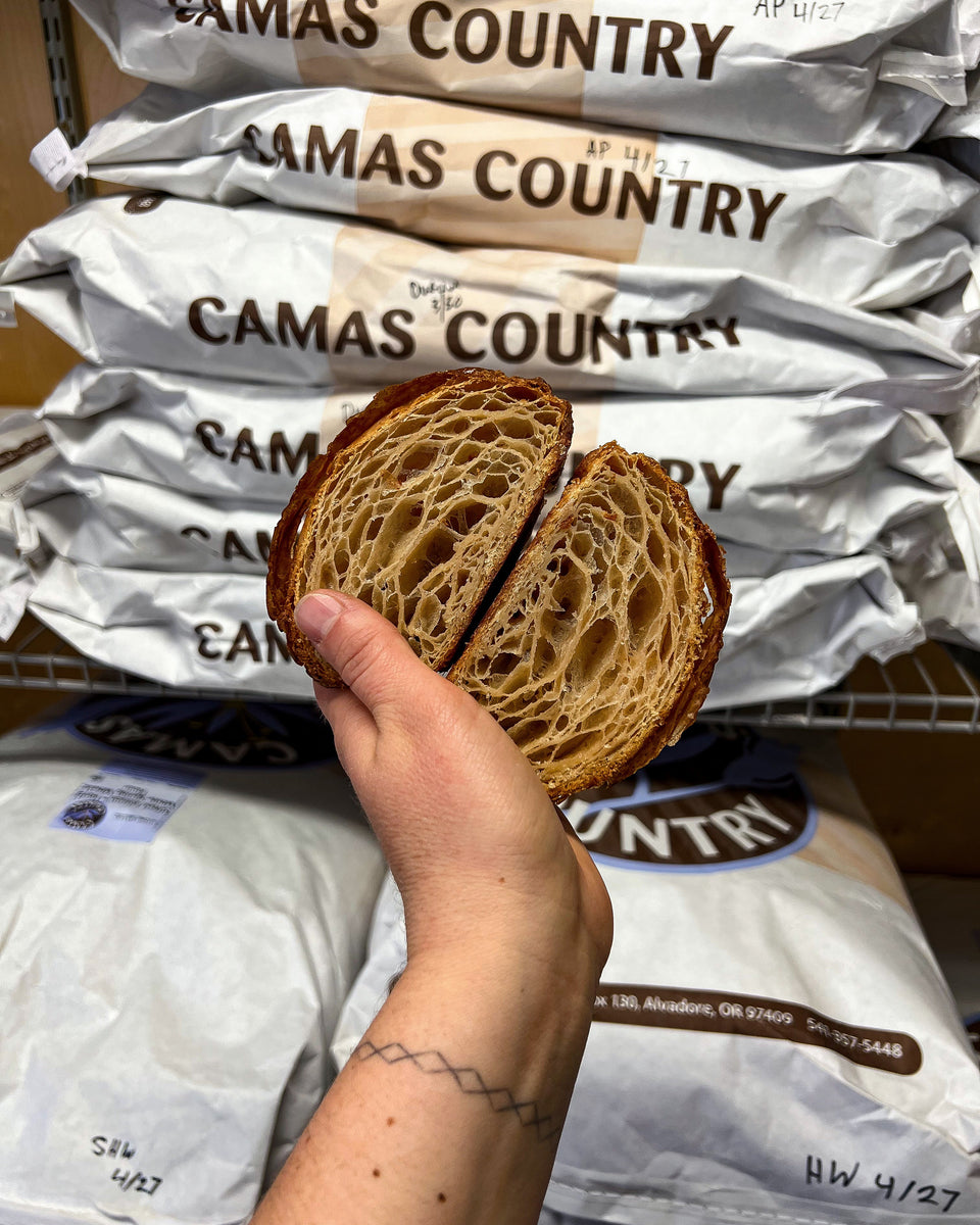 Sourdough Butter Croissant Tabor Bread