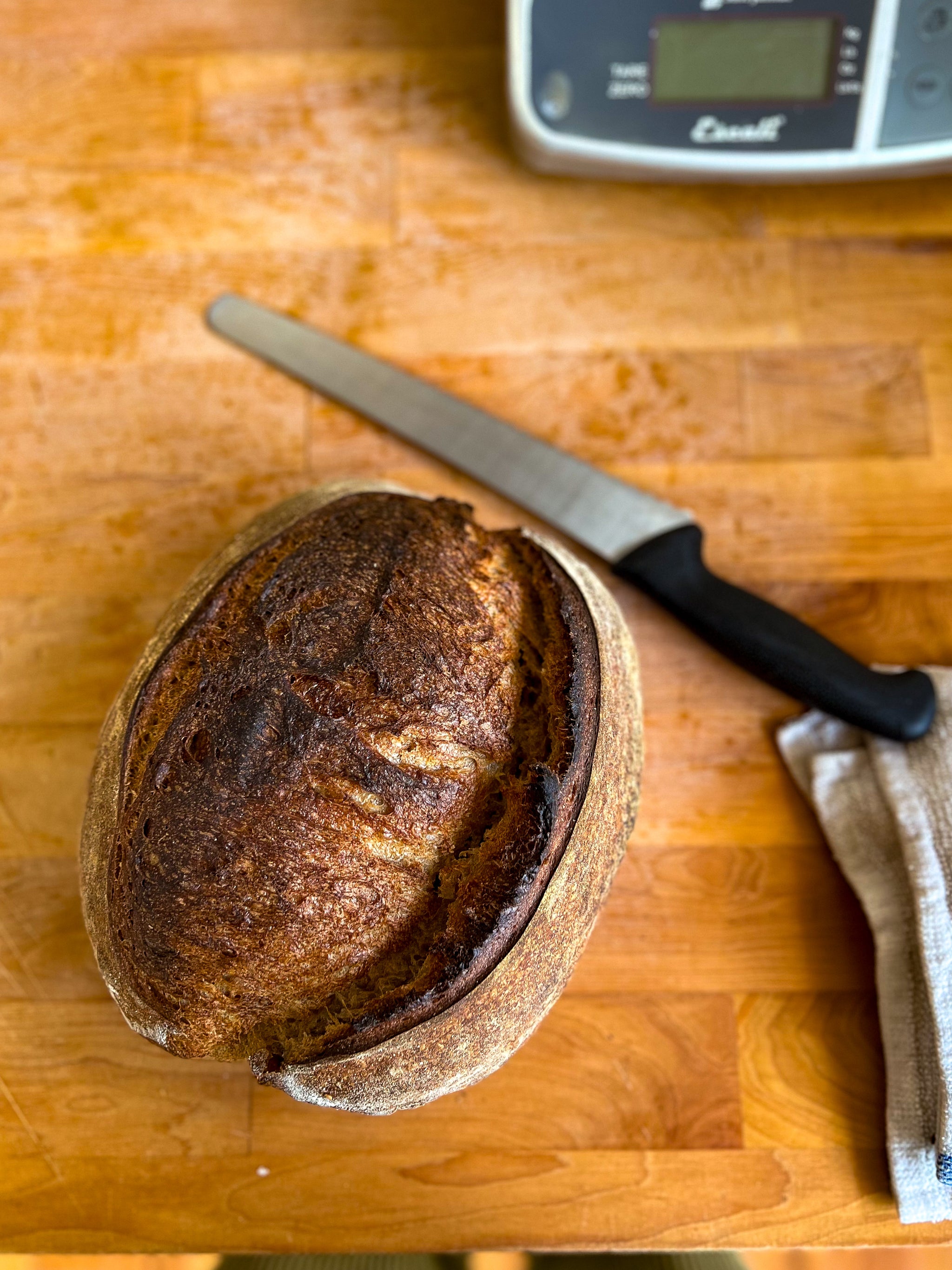 Country Hearth Loaf – Tabor Bread