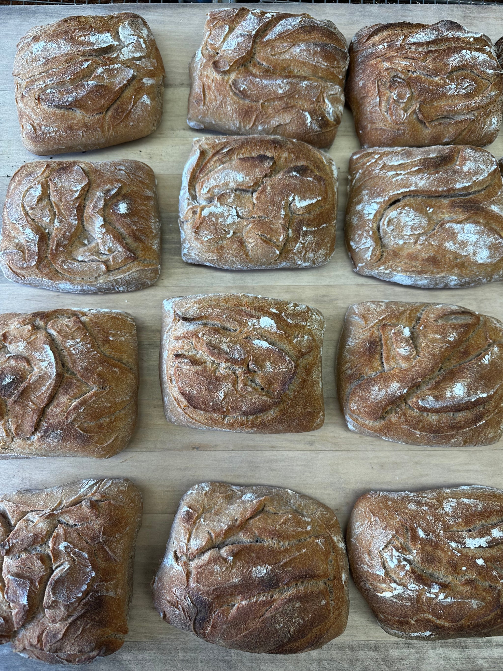 Ciabatta Roll – Tabor Bread